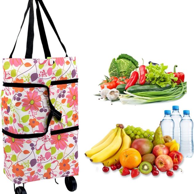 Chariot de shopping حقيبة التسوق بعجلات