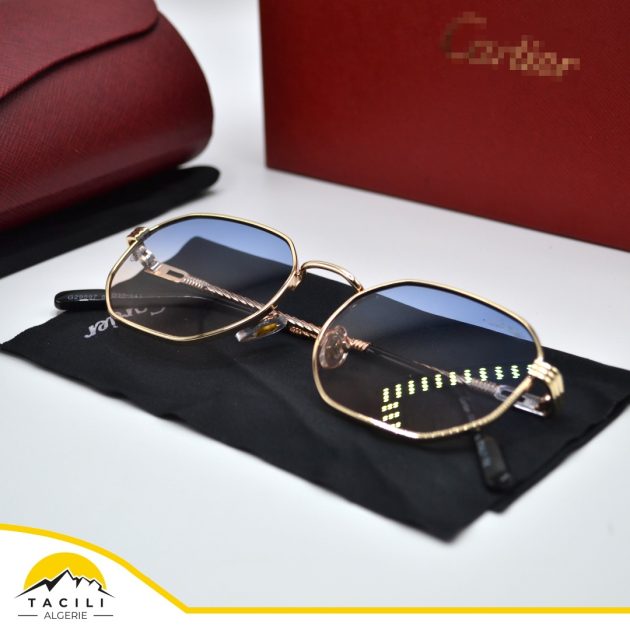 Lunette de Soleil CRT - G01