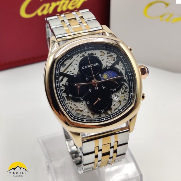 Montre CRT - Day/Night - Acier Argent doré N